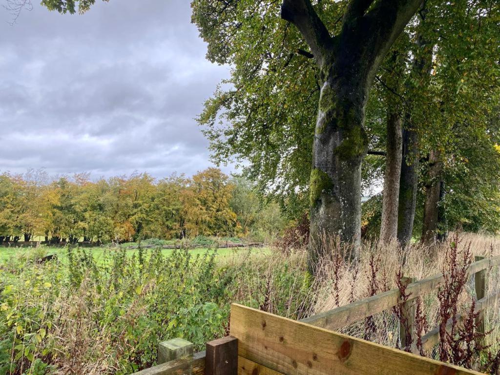 Pirnie Lodge Holiday Lets Slamannan Bagian luar foto